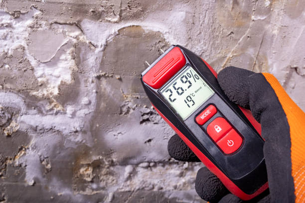 Best Kitchen Mold Remediation in Fairlea, WV