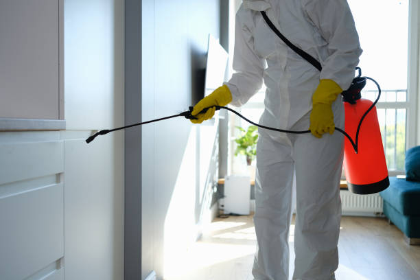 Best Industrial Mold Remediation in Fairlea, WV