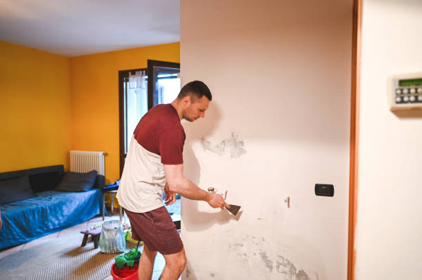 Best Residential Mold Remediation in Fairlea, WV